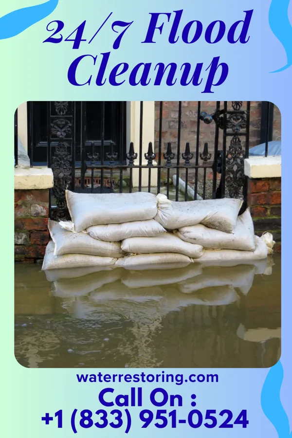 24/7 Flood Cleanup in Chatfield, MN