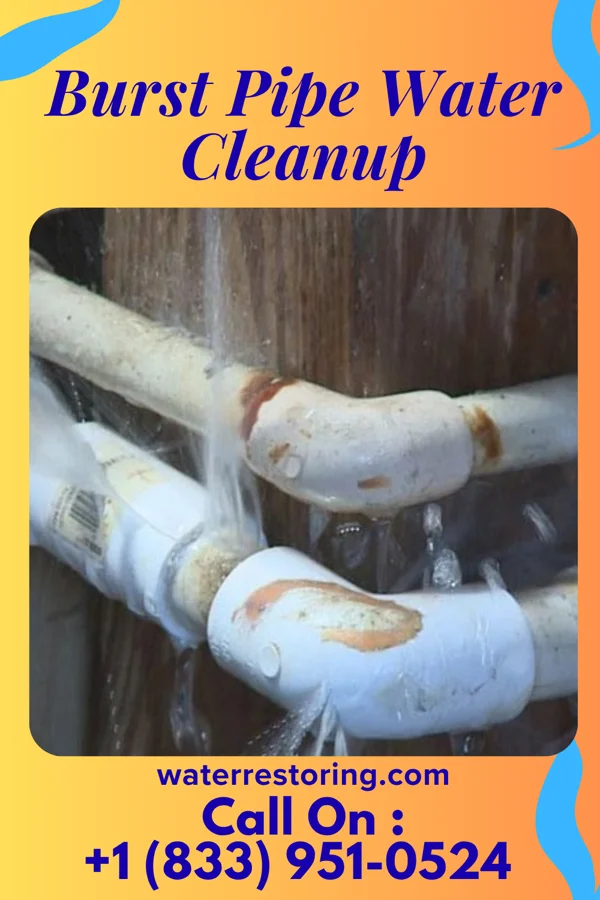 Burst Pipe Water Cleanup in Chatfield, MN