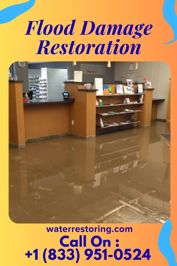 Flood Damage Restoration in Chatfield, MN