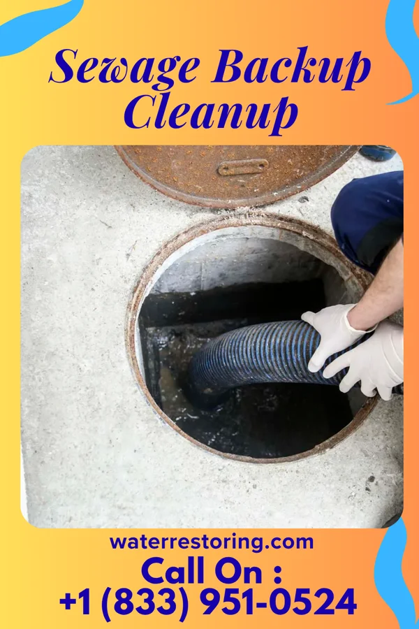 Sewage Backup Cleanup in Chatfield, MN